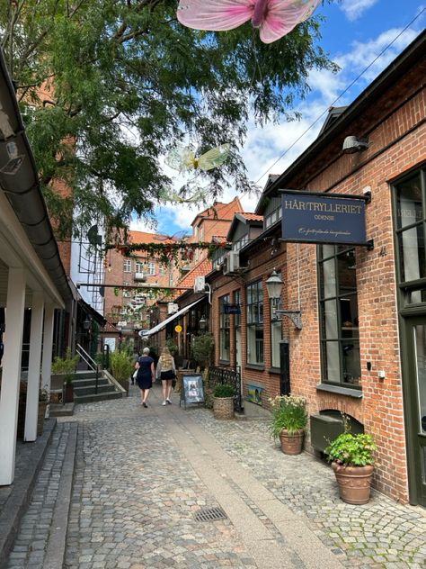 Denmark vintage shopping inspo street downtown restaurants sunny uptown downtown shops travel instagram insta Alleyway Design, Denmark Vacation, Downtown Shopping, Italian Town, Vintage Shopping, Downtown Girl, Travel Instagram, Vintage Vibes, Summer 2024