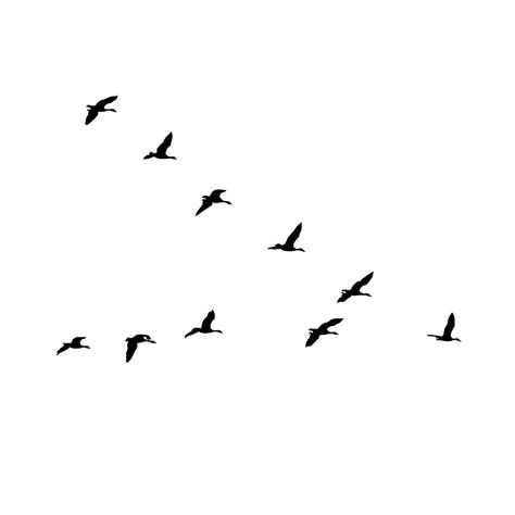 Flock of geese flying in V silhouette wall decals

Add a touch of nature to your home with these beautiful wall decals. The flock of geese will look stunning in any room, and they're sure to bring a smile to your face every time you see them.

#walldecals #geese . #Bird_Tattoos #Crane_Drawing #Goose_Tattoo #Geese_Flying Flock Of Geese Tattoo, Flock Of Birds Drawing, Flying Geese Tattoo, Flying Crane Tattoo, Geese Tattoo, Crane Drawing, Goose Tattoo, Custom Hard Hats, Geese Flying