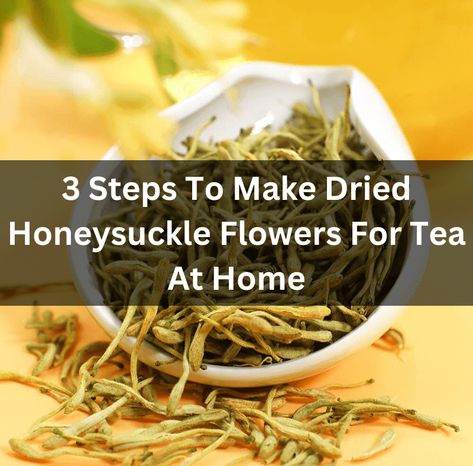 3 Steps To Make Dried Honeysuckle Flowers For Tea At Home Honeysuckle Recipes, Flower Tea Recipe, Flowers For Tea, Honeysuckle Jelly, Honeysuckle Tea, Honeysuckle Essential Oil, Honeysuckle Flowers, Oil Infusion, Flowers Last Longer