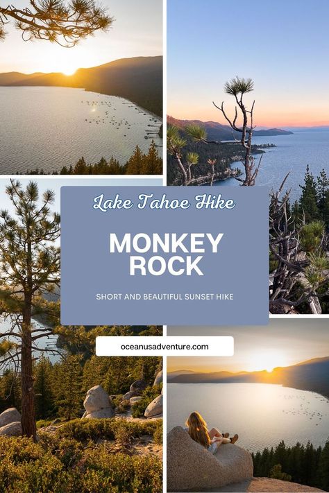 Blog post on the Monkey Rock trail in Lake Tahoe including how to hike it at sunset Lake Tahoe Hiking, Best Sunset, Best Hikes, Lake Tahoe, Beautiful Sunset, The View, Nevada, Hiking, Lake