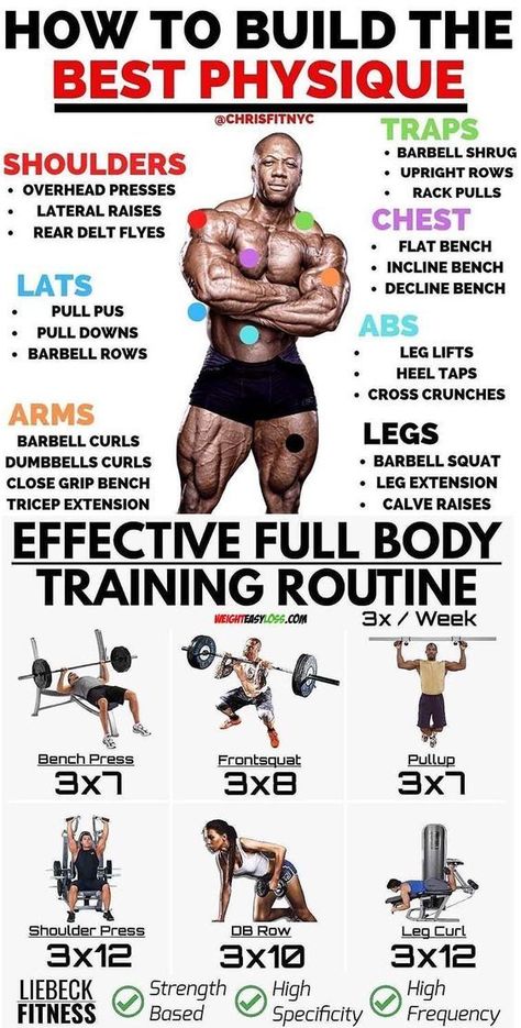 Pin on My Build Split Workouts, Ectomorph Workout, Full Body Workout Plan, Workout Man, Full Body Training, Workout Plan For Men, Gym Antrenmanları, Muscular Strength, Full Body Workout Routine