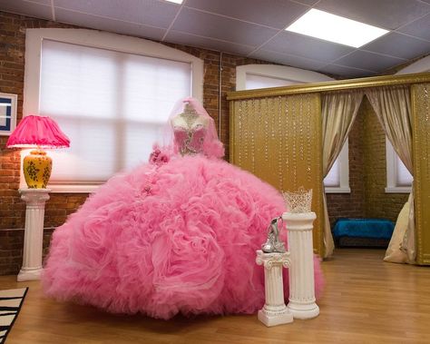 Sondra Celli, Boston Wedding Dress, Poofy Dresses, Dresses And Shoes, Quinceañera Dresses, Poofy Dress, Crazy Wedding, Big Wedding Dresses, Long Wedding Dress