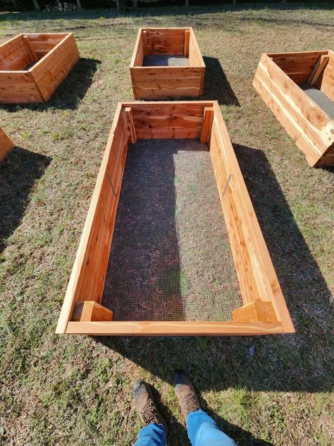 DIY Cedar Garden Bed 4ftx8ft PDF Download - Etsy Canada Long Raised Garden Bed, Wood Raised Beds, Garden Bed Ideas, Garden Planning Layout, Wooden Garden Bed, Raised Garden Bed Plans, Raised Bed Garden Design, Cedar Raised Garden Beds, Cedar Garden