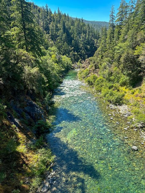 Redwood Aesthetic, Redwoods Oregon, Oregon Coast Aesthetic, Oregon Cottage, Oregon Coastline, Oregon Forest, Double Islands, Park River, I'm Leaving