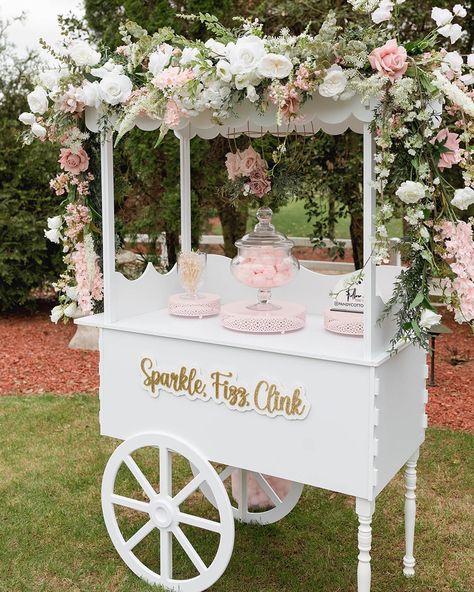 Party Food Carts, Cotton Candy Bar, Party Rental Ideas, Party Rentals Business, Princess Birthday Decorations, Candy Car, Sweet Carts, Tee Party