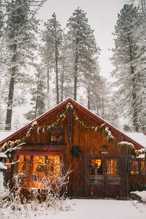 12 most unique Leavenworth Airbnbs & Cabins to rent for for your Washington trip. Where to stay in Leavenworth, which is a Bavarian style town that is fun for fall and Christmas trips. Stay in one of these cute Leavenworth cabins for the best Washington trip ever! #washington #airbnb #cabin A Cabin In The Woods, Leavenworth Washington, Treehouse Cabins, Cabin Aesthetic, Zell Am See, Cabin Christmas, Christmas Place, Winter Cabin, Cabin Living