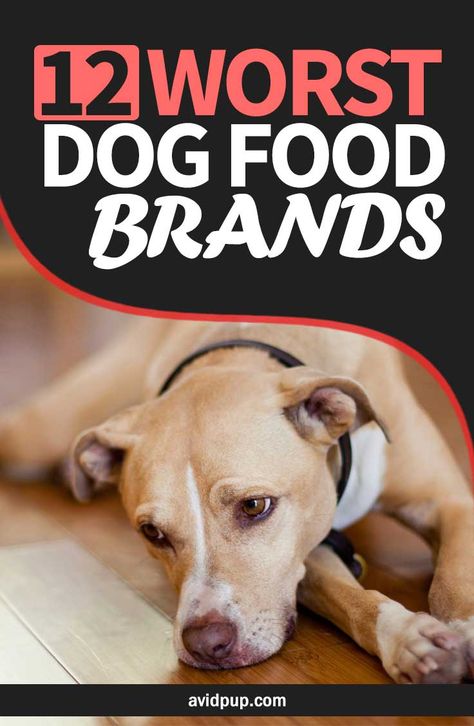 Bad Food For Dogs, Food Bad For Dogs, Healthiest Dog Food, Good Dog Food Brands, Best Dog Food For Pitbulls, Diet Dog Food Recipes, Best Food For Puppies, Best Dry Dog Food Brands, How To Make Healthy Dog Food