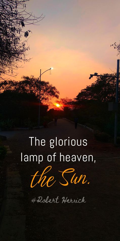 Nature Morning Quotes, Sun Glare Photography, Word Captions, Collage Story, Compliment Words, Nature Quotes Beautiful, Moon And Star Quotes, Married Life Quotes, Sunset Captions For Instagram