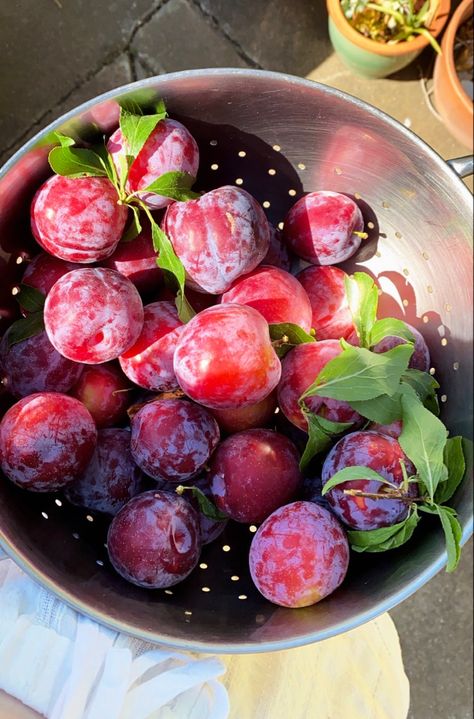 Fruit Aesthetic, Plum Fruit, Beautiful Fruits, Fruit And Veg, Fake Story, Food Obsession, Pretty Food, Fruits And Veggies, Aesthetic Food