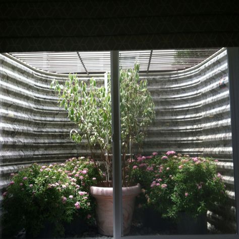 Egress window garden close up Egress Window Greenhouse, Window Well Greenhouse, Landscaping Around Basement Windows, Egress Window Garden, Landscaping Around Egress Window, Window Well Plants, Window Well Garden, Window Well Garden Basement, Egress Window Landscaping