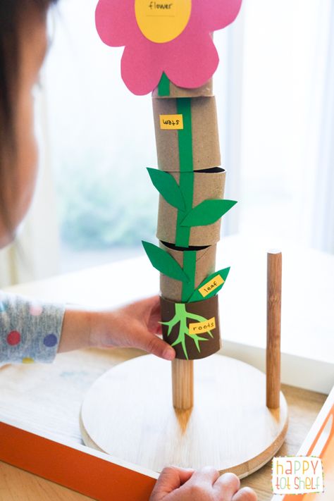 TP ROLL PARTS OF A FLOWER Learning Toy - Happy Tot Shelf Ochrana Prírody, Kraftangan Prasekolah, Preschool Garden, مشروعات العلوم, Plant Activities, Plant Crafts, Spring Preschool, Parts Of A Flower, Aktivitas Montessori