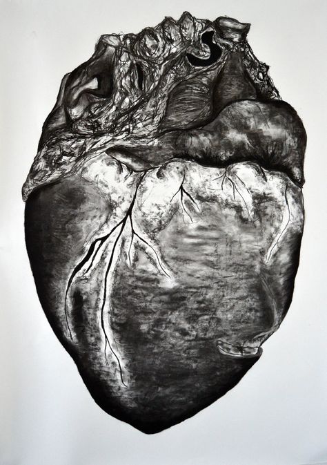 Charcoal Drawing of a pig heart (2metersby1meter) Heart Charcoal Drawing, Twisted Art, Pig Heart, Heart Drawing, Gcse Art, Charcoal Drawing, Art Work, Greek Statue, Statue