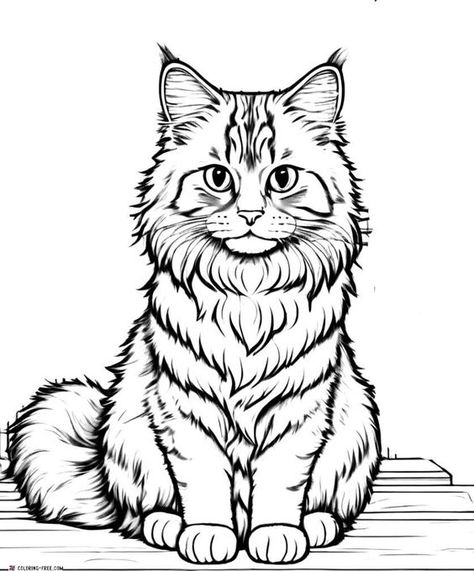 Cat Coloring Pages (Free Printables) Cat And Dog Drawing, Cat Coloring Pages, American Shorthair Cat, Cat Printable, Cat Coloring, Cat Coloring Book, Kitty Coloring, Hello Kitty Coloring, Russian Blue Cat