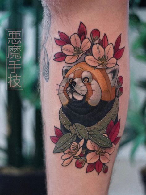 Tattoo uploaded by Tattoodo | Cherry blossom tattoo by Akuma Shugi #AkumaShugi #cherryblossomtattoos #cherryblossom #flowers #floral #nature #plant #cherryblossomtattoo #redpanda #animal #cute #japanese #neotraditional #color #lowerleg | 1180276 | Tattoodo Love In Japanese Tattoo, Japanese Tattoos Back, Back Japanese Tattoo, Red Japanese Tattoo, Japanese Tattoo Background, Japanese Tattoo Cherry Blossom, Traditional Japanese Tattoo Meanings, Red Panda Tattoo, Japanese Tattoo Koi