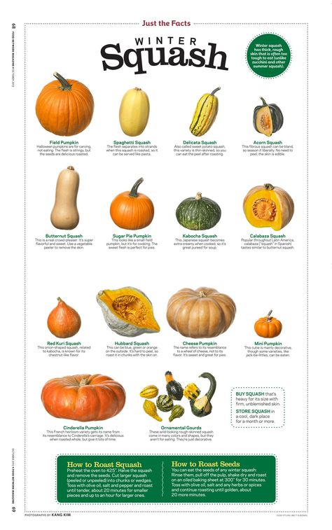 Food Network Magazine October 2012 Winter Squash Squash Benefits, Calabaza Squash, Vegetable Poster, Squash Types, Winter Squash Recipes, Squash Varieties, Nature Studies, Pumpkin Squash, Delicata Squash