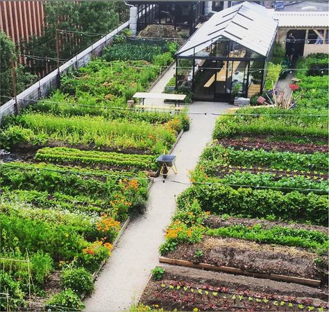 nice Oestergro, A Urban Farm Landscape Made In Denmark  #denmark #Gardening #Landscape #rooftop #UrbanGardening A 600 m2 organic rooftop garden, five floors above an old car auction – it sounds like a scene from New York, but it is totally Copenhagen. Here in... Rooftop Garden Urban, Farm Landscape, Small Vegetable Gardens, Crop Production, Urban Agriculture, Urban Farm, Desain Lanskap, Market Garden, Farm Design