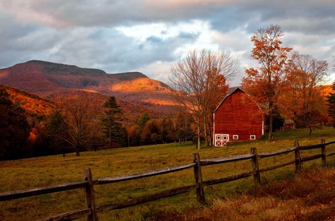 Beautiful Autumn Barn Photos - Fall Foliage Pictures Fall Foliage Pictures, Fall Pictures Nature, Barn Pictures, Country Barns, Fall Vacations, Leaf Peeping, Catskill Mountains, Autumn Scenes, Beautiful Autumn