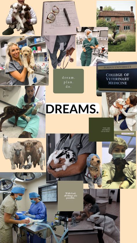 Vet Dream Job, Future Veterinarian Wallpaper, Veterinarian Inspiration, Veterinarian Wallpaper, Veterinarian Aesthetic Wallpaper, Veterinary Medicine Aesthetic, Aesthetic Vet Pictures, Vet Wallpaper, Veterinary Aesthetic