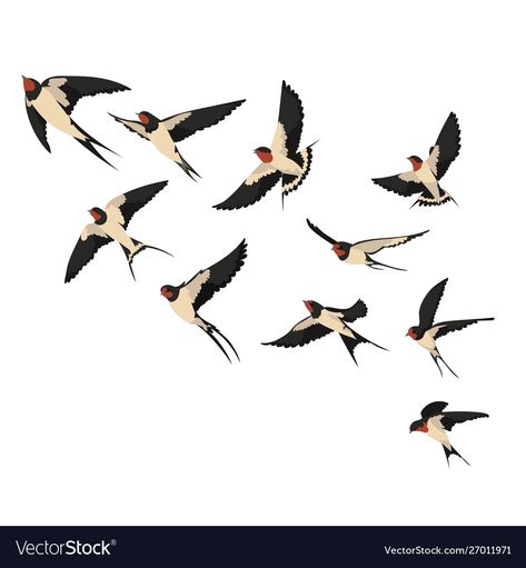 Craft Label, Flock Of Birds, Pola Sulam, Images Vintage, Swallows, Bird Drawings, Bird Illustration, Birds Flying, Cartoon Illustration