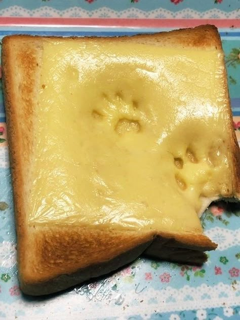 Anyone ordered Paws Toast? Micah Core, Tokyo Restaurant, Cat Paw Print, Weird Food, Cat Paws, Kitty Cats, Cute Food, Aesthetic Food, Adventure Time