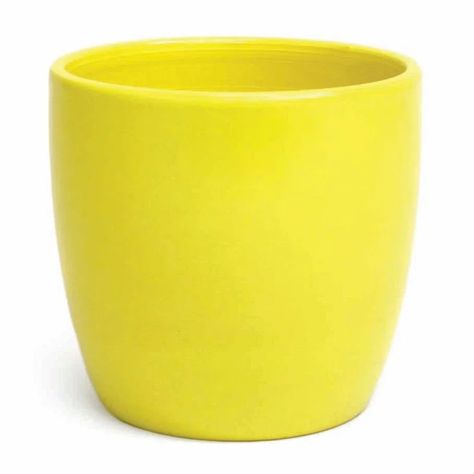 Latitude Run® Thalie Stone Cachepot | Wayfair Plant Stand With Wheels, Planting Succulents Indoors, Yellow Planter, Self Watering Plants, Metal Flower Pots, Plant Saucer, Planter Beds, Resin Planters, Plastic Plant Pots