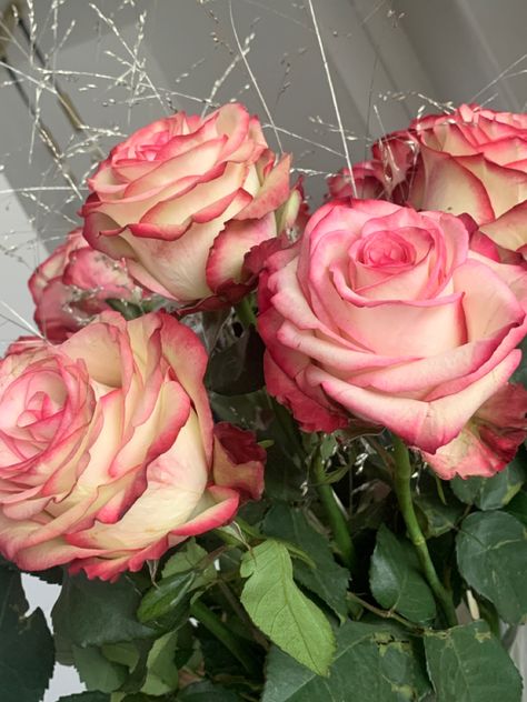 #rosen Boquette Flowers, Beautiful Bouquet, My Flower, Birthday Presents, Pink Roses, Florist, Tulips, Flower Arrangements, Birthday