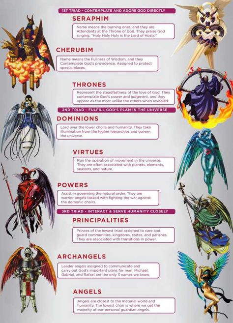 Hierarchy of Angels - Imgur Hierarchy Of Angels, 천사와 악마, Order Of Angels, Angel Hierarchy, Arte Occulta, World Mythology, Legends And Myths, 다크 판타지, Biblical Art