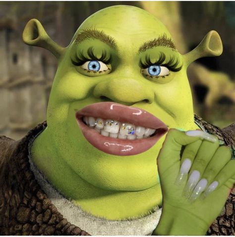 Shrek Pics, Material Girl Funny, Shrek Pictures, Preppy Shrek, Baddie Shrek, Preppy Baddie, Shrek Funny, Lord Farquaad, Fairy Room