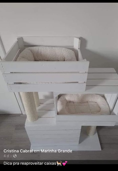 Koti Diy, Diy Cat Tree, Cushion Storage, Cat House Diy, Diy Cat Toys, Wooden Pallet Projects, Cat Furniture Diy, Diy Furniture Easy, Tables Diy