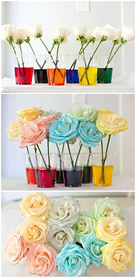 How to dye rainbow flowers. Fun experiment for kids! Science Party Decorations, Fun Experiments For Kids, Dye Flowers, Science Party, Science Activities For Kids, Fair Projects, Rainbow Roses, Colored Flowers, Cool Ideas