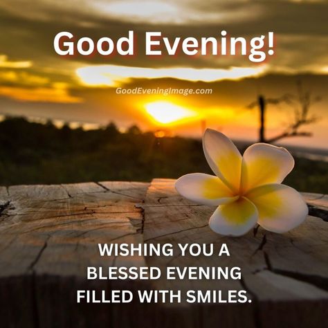 55+ Good Evening Blessings Images with Quotes – GoodEveningImage Good Evening Blessings, Good Evening Images Beautiful, Best Wishes Images, Good Evening Images, Evening Blessings, Evening Images, Evening Wishes, Good Evening Messages, Calming Pictures