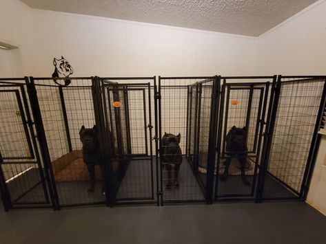 Puppy Playroom, Dog Facility, Mountain Bernese, Dog Garage, Dog Room Design, Dogs Room, Dog Boarding Facility, Pet Store Ideas, Dog Room Decor