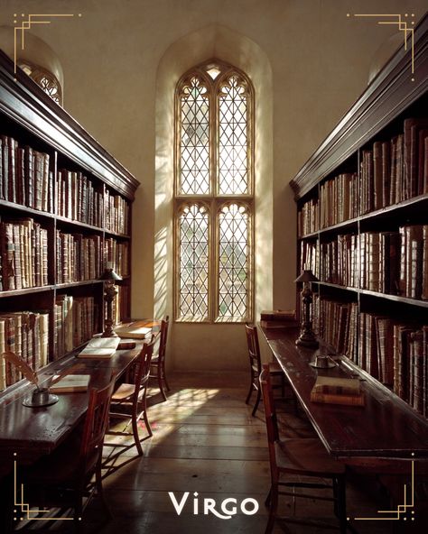 Library Hogwarts Aesthetic, European Library Aesthetic, Hogwarts Library Aesthetic, Library Hogwarts, School Library Aesthetic, Elena Core, Old Library Aesthetic, Old School Library, Harry Potter Library