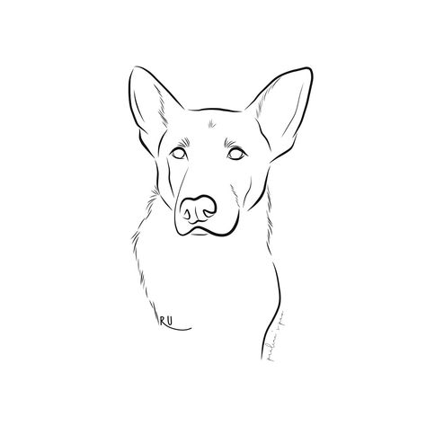 Line Drawing German Shepherd, German Shepherd Ear Tattoo, German Shepherd Tattoo Outline, German Shepherd Outline, Drawing German Shepherd, German Shepherd Drawing, German Shepherd Ears, Animal Sketches Easy, Shepherd Tattoo