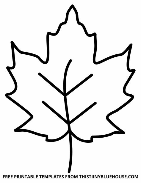 Free Leaf Template Printable (6 sizes of Leaf Outlines Small, Medium & Large) Fall Leaf Template Free Printable Clip Art, Leaf Template Printable Leaves, Leaf Outlines Free Printable, Free Printable Leaf Template Fall Leaves, Printable Leaves Leaf Template, Free Leaf Template Printable, Leaf Template Printable Free Large, Fall Templates Printables, Fall Leaf Template Free Printable