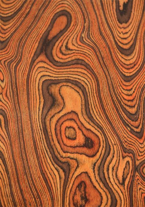 Trees, Bark & Wood Grains on Pinterest | Wood Grain, Trees and Socotra Tree Textures, Texture Inspiration, Wood Coffee Table, Tree Bark, Wood Patterns, Burled Wood, Wood Texture, Patterns In Nature, Coffee Table Wood