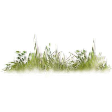 Grass Photoshop, Tree Psd, Landscape Architecture Graphics, Texture Photoshop, Grass Plants, Photoshop Rendering, Tree Textures, Architecture Graphics, Photoshop Textures