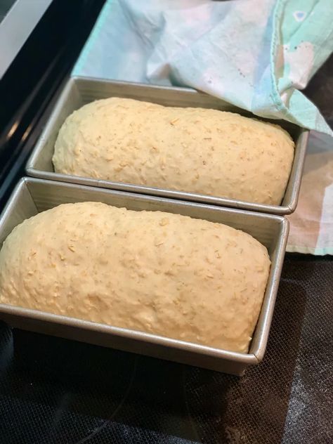 Honey Oat Bread Recipe, Honey Oatmeal Bread, Breadmaker Recipes, Oatmeal Bread Recipe, Oat Bread Recipe, Honey Oat Bread, Oat Bread, Honey Bread, Oatmeal Bread