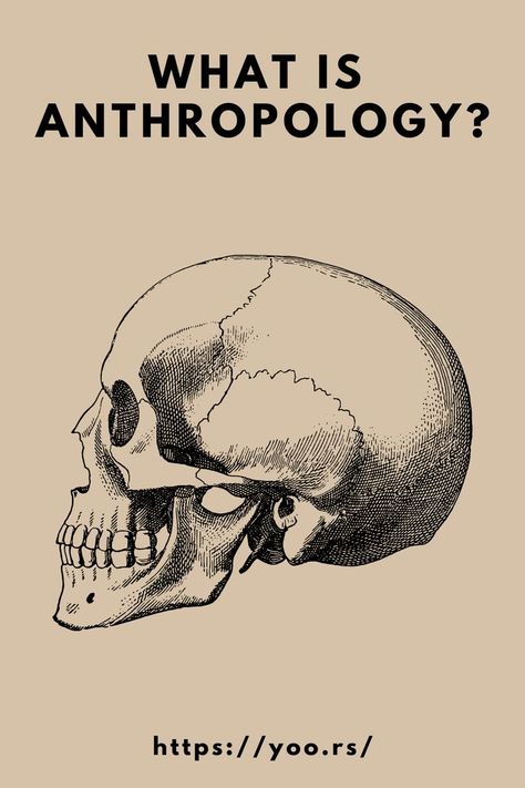 Biological or physical anthropology studies the biological development of humans. Archaeological anthropology, often termed as 'anthropology of the past', studies human activity through investigation of physical evidence. It is considered a branch of anthropology in North America and Asia, while in Europe archaeology is viewed as a discipline in its own right...#anthropology #whatis #scientificstudy #humanity #cultures #society #humanspecies #blog #yoors #yoorssuperpromoteteam Anthropology Pictures, Anthropology Poster, Anthropology Art, What Is Anthropology, Visual Anthropology, Anthropology Aesthetic, Linguistic Anthropology, Social Anthropology, Common Humanity