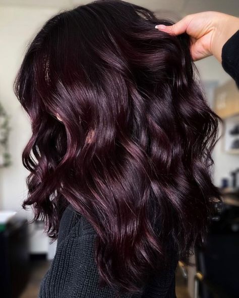 Dark Reddish Purple Burgundy Hair Plum Balayage Hair Burgundy, Cool Tone Burgundy Hair, Mahagony Balayage On Black Hair, Plum Wine Hair Color, Midnight Plum Hair Color, Red Hair On Dark Brown Hair, Plum Balayage Hair Brunettes, Dark Red Hair Color Burgundy Wine, Violet Balayage Brunette