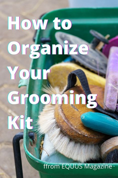 Horse Brush Organization, Barn Organization, Horse Grooming Supplies, Horse Grooming Kit, Grooming Hacks, Horse Brushes, Horse Facts, Daily Chores, Horse Camp