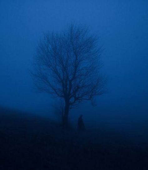 Dark Blue Fog Aesthetic, Blue Ambient Aesthetic, Blue Foggy Aesthetic, Foggy Blue Aesthetic, Dark Dreamscape Aesthetic, Blue Fog Aesthetic, Dark Ambient Aesthetic, Blue Horror Aesthetic, Dark Dreamscape