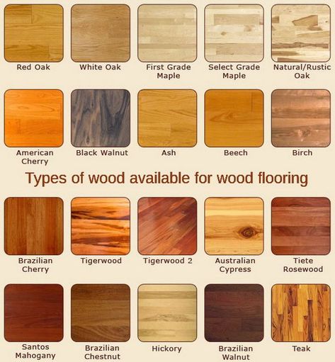 This flooring chart shows the many types of wood available for flooring. Types of wood available for flooring include… Red Oak, White Oak, Maple, Rustic Oak, American Cherry, Black Walnut, Ash, Beech, Birch, Brazilian Cherry, Tigerwood, Cypress, Rosewood, Mahogany, Chestnut, Hickory, Walnut, and Teak Wood #woodworkinginfographic Types Of Hardwood Floors, Basement Flooring Options, Types Of Wood Flooring, Beautiful Flooring, Wood Floor Kitchen, Interior Design Renderings, Wood Floors Wide Plank, Inspired Interiors, Cherry Cabinets