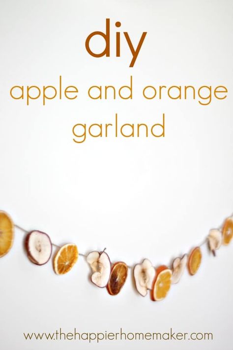 DIY Dried Apple and Orange Slice Garland Orange Slice Garland, Christmas Gifts Diy Homemade, Apple Garland, Diy Apple, Orange Slice, Dried Apples, Orange Garland, Diy Garland, Homemade Christmas Gifts