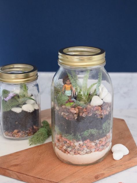 DIY Kid-Friendly Mason Jar Terrariums Planting Drawing, Plant Based Aesthetic, Plant Art Drawing, Plant Room Aesthetic, Diy Terrariums, Mason Jar Plants, Mason Jar Terrarium, Creative Gardens, Jar Terrarium