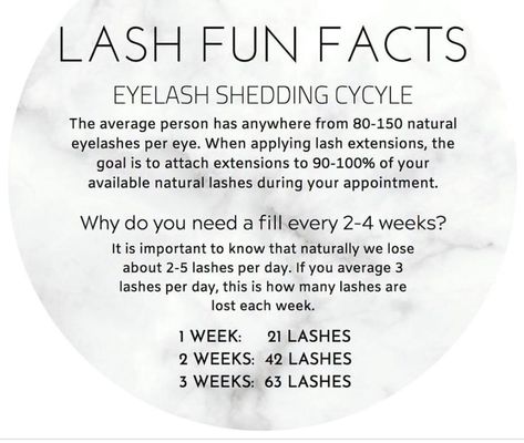 2d Lashes, Lash Extensions Quotes, Eyelash Extension Training, Extension Training, Lash Quotes, Natural Eyelashes, Natural Lashes, Eyelash Extension, Lash Extensions