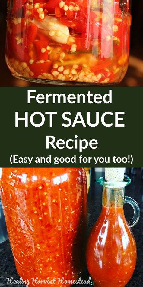 Fermented Cayenne Hot Sauce, Fermenting Hot Peppers, Making Hot Sauce, Homemade Fermented Hot Sauce, Make Your Own Hot Sauce, Fermenting Hot Sauce, Fermented Hot Peppers, Fermented Chilli Sauce, What To Do With Hot Peppers From Garden