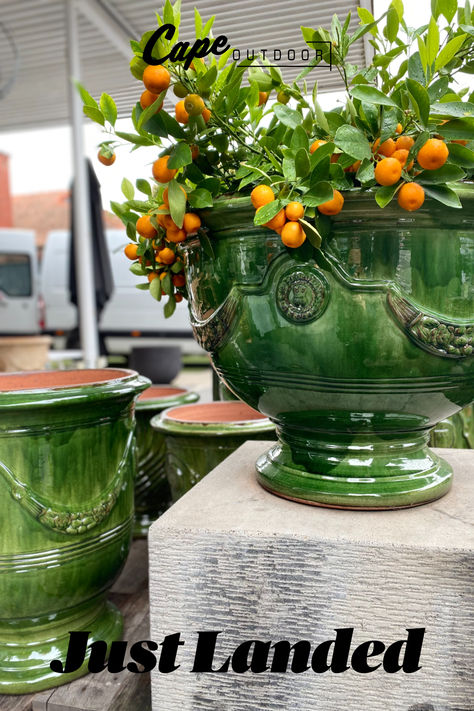 Just landed! Anduze French Pots have just arrived direct from the Poterie de la Madeleine in the South of France. Hand crafted using traditional techniques, these pots are a beautiful addition to any garden space. Hurry - selling fast! Anduze Pot, French Garden Design, Farm Plans, Garden Urns, French Classic, Bedroom Plants, French Garden, Balcony Garden, Garden Spaces