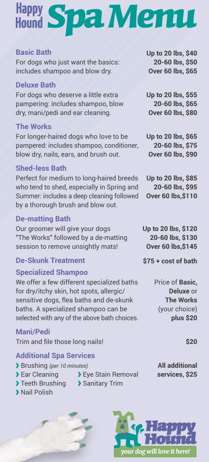 Dog Grooming Prices List, How To Start A Dog Washing Business, Pet Grooming Price List, Dog Grooming Prices, Dog Grooming Services, Dog Spa Ideas Pet Grooming, Small Grooming Salon, Dog Spa Ideas, Pet Grooming Salon Ideas