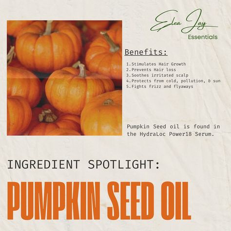 INGREDIENT SPOTLIGHT: Pumpkin Seed Oil ✅ Stimulates Hair Growth ✅ Prevents Hair Loss ✅ Protects from Sun, cold, and pollution Pumpkin Seed Oil is found in the HydraLoc Power18 Serum. Pumpkin Seed Oil, Pumpkin Seed, Stimulate Hair Growth, Pumpkin Seeds, Seed Oil, Pollution, Hair Growth, Serum, Hair Care